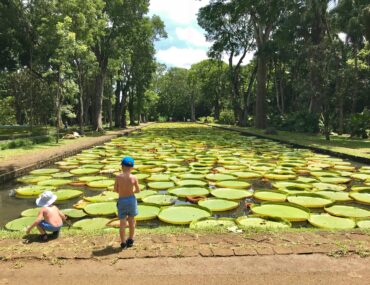 pamplemousses botanical garden