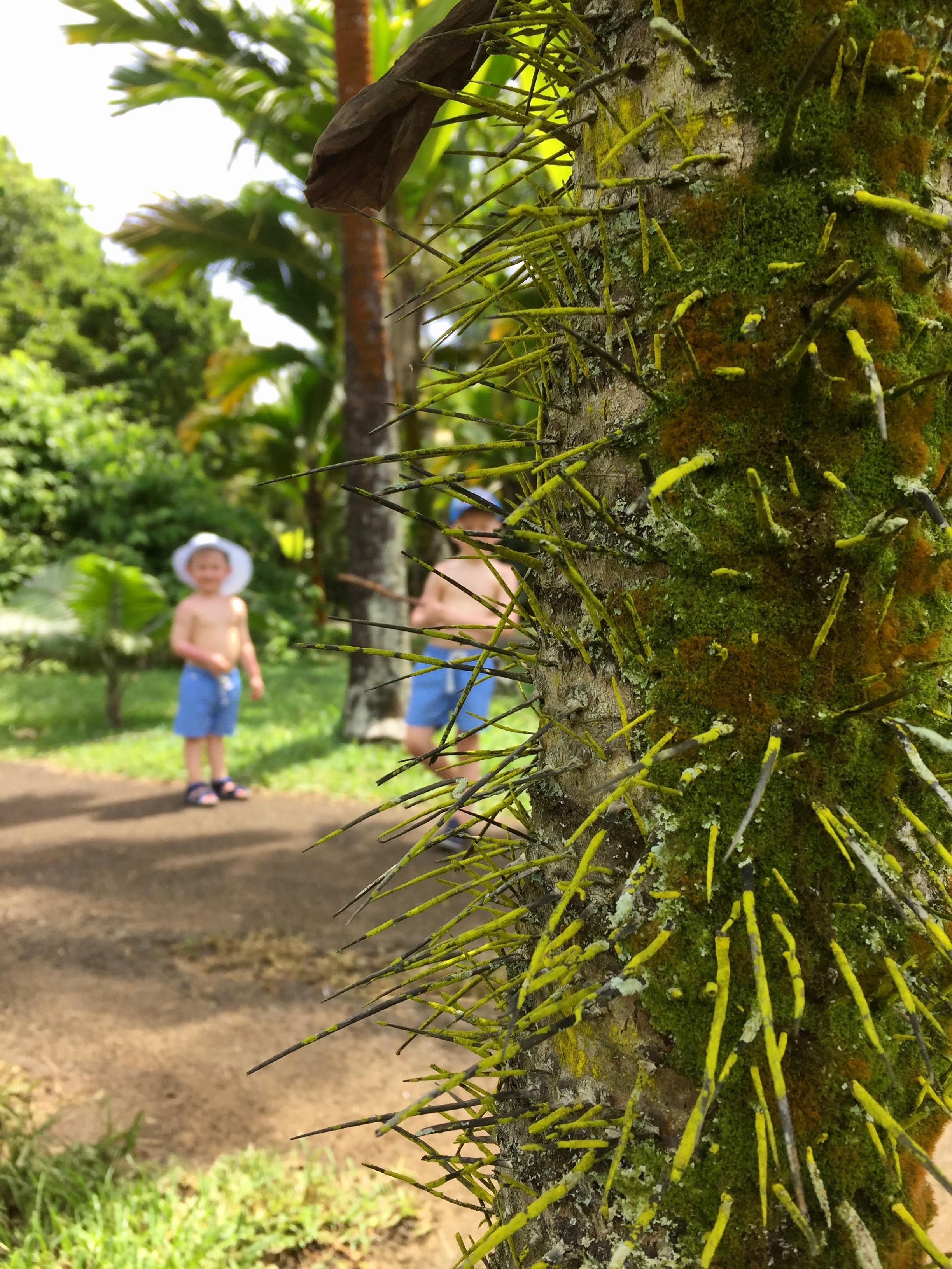 Children Mauritius Pamplemousses Botanical Garden