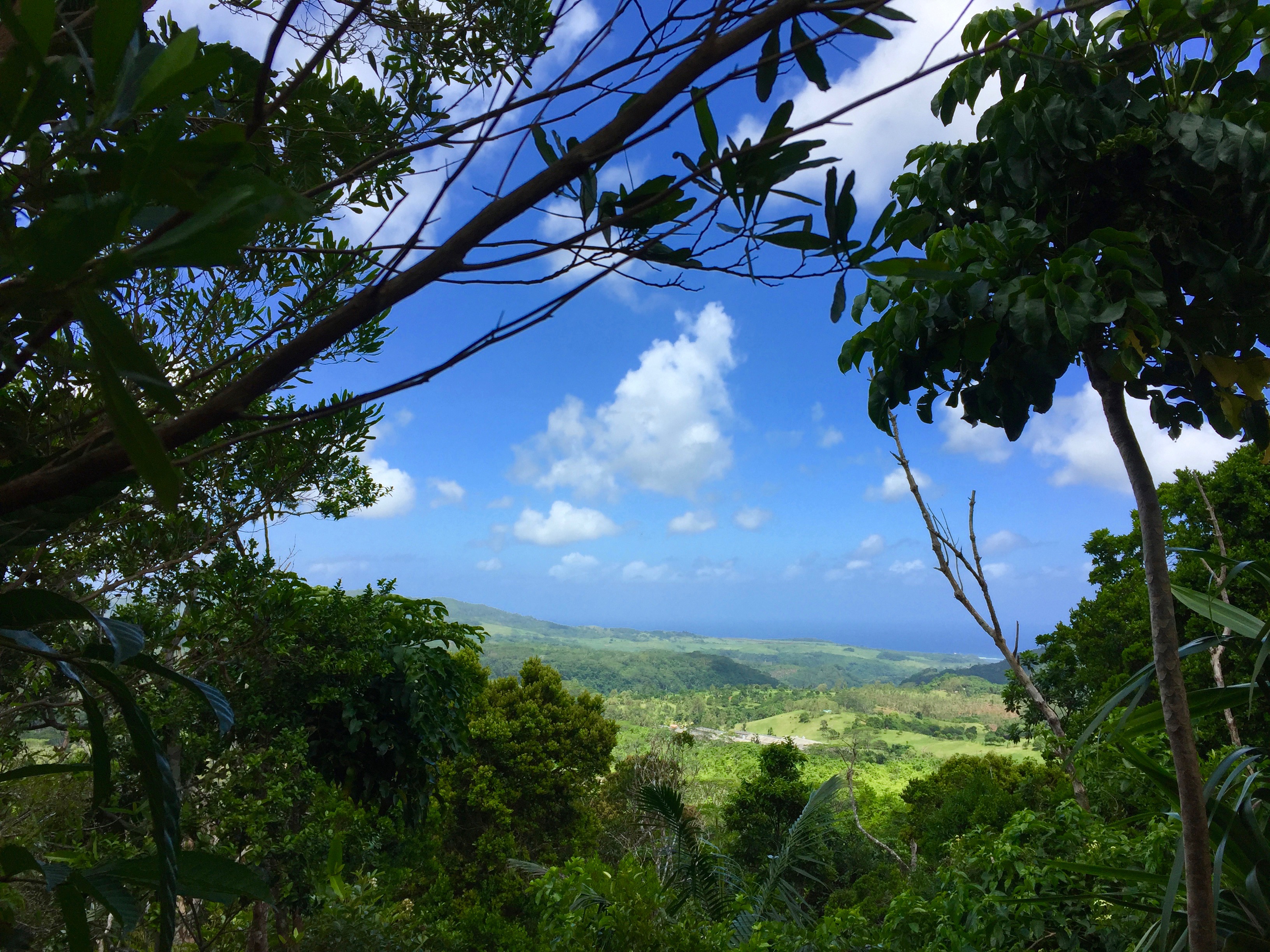 Excursion on Mauritius with children