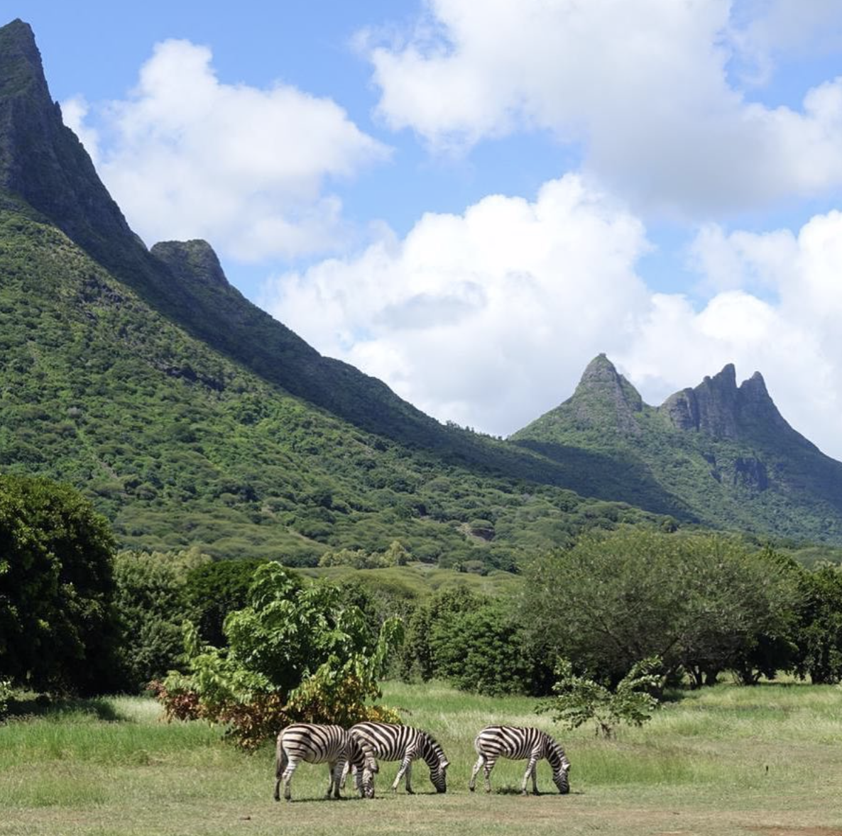 Excursions in Mauritius with kids