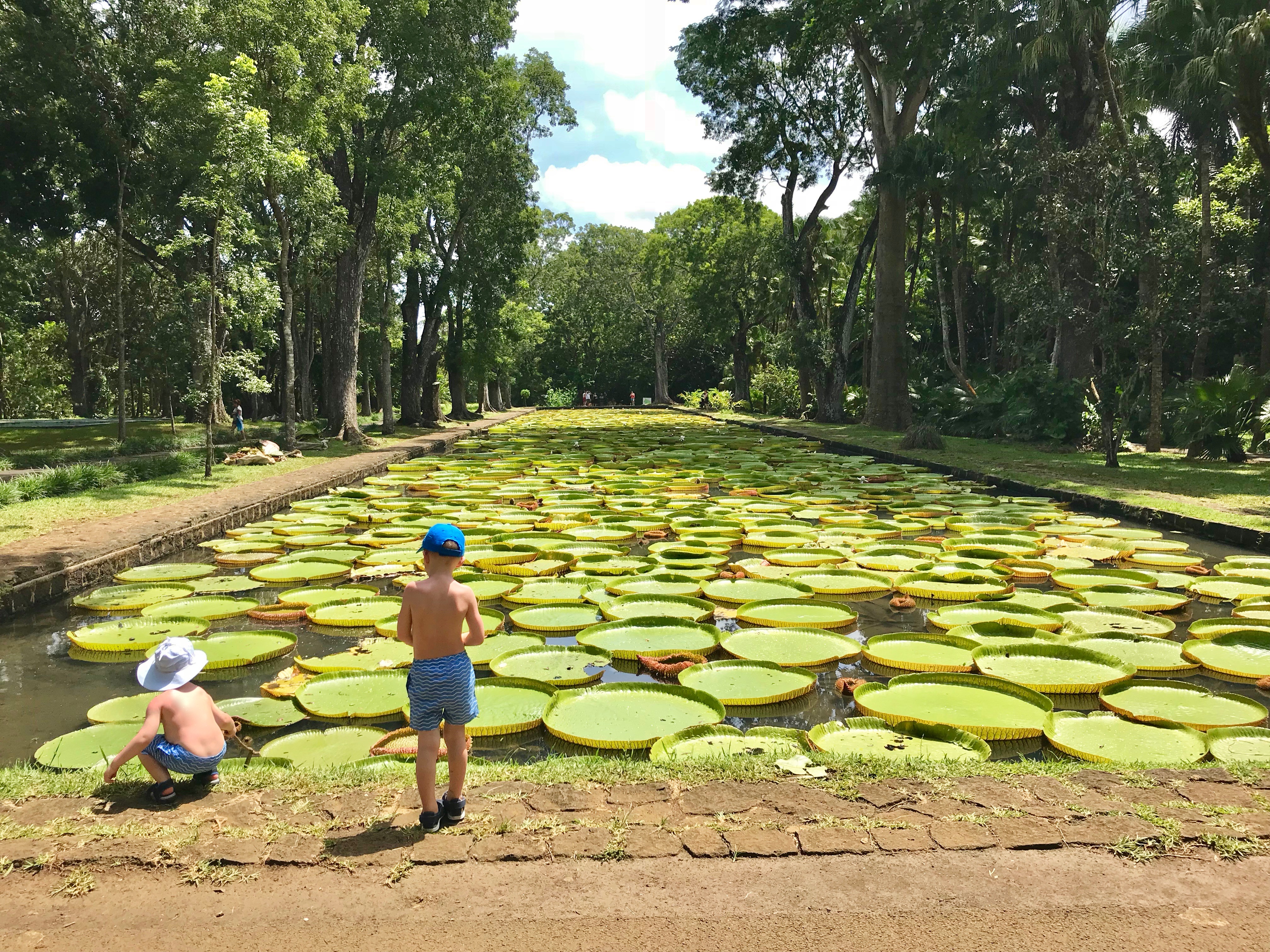 Familjevänliga utflykter på Mauritius