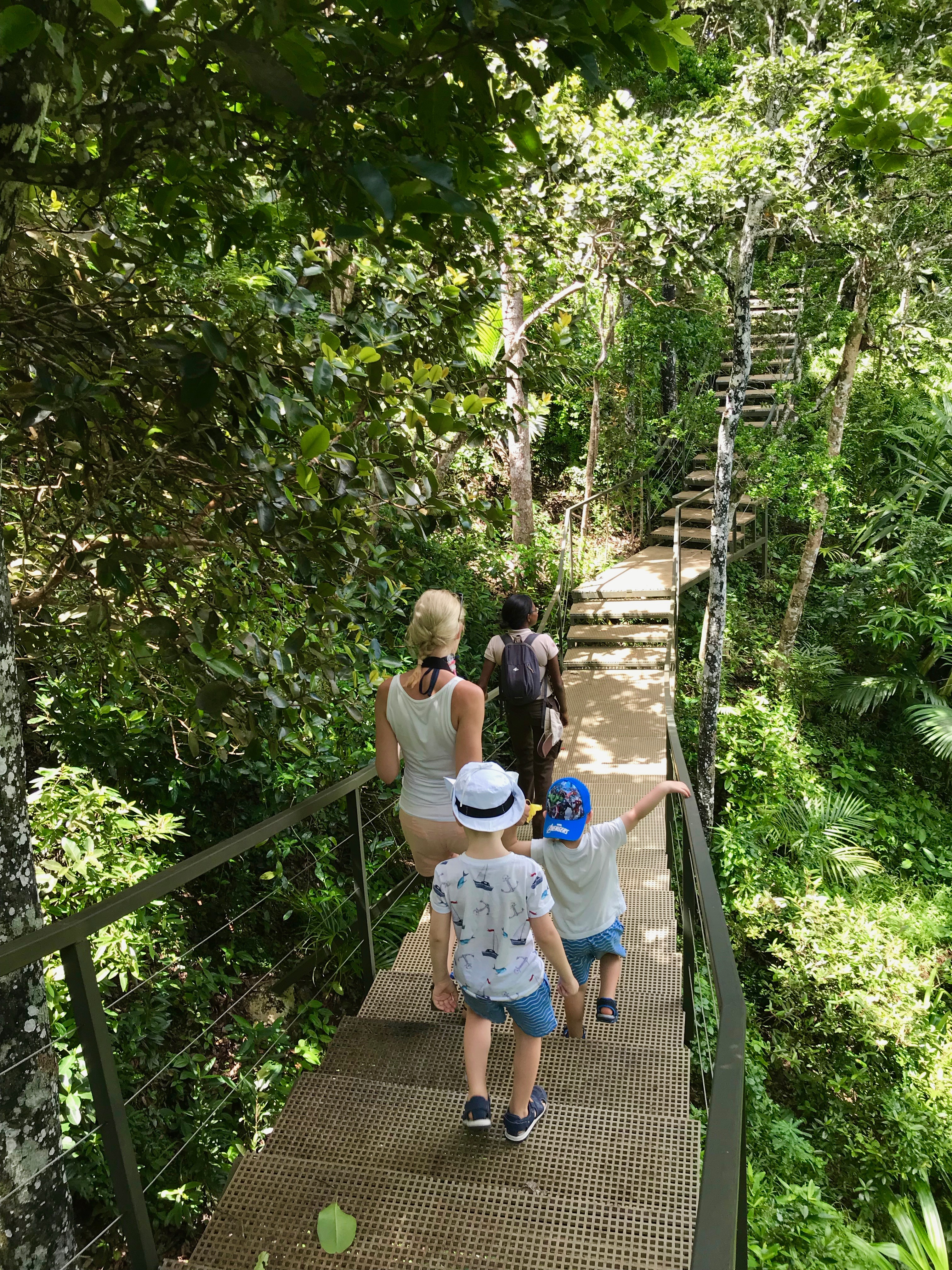 Djungelvandring med barn på mauritius