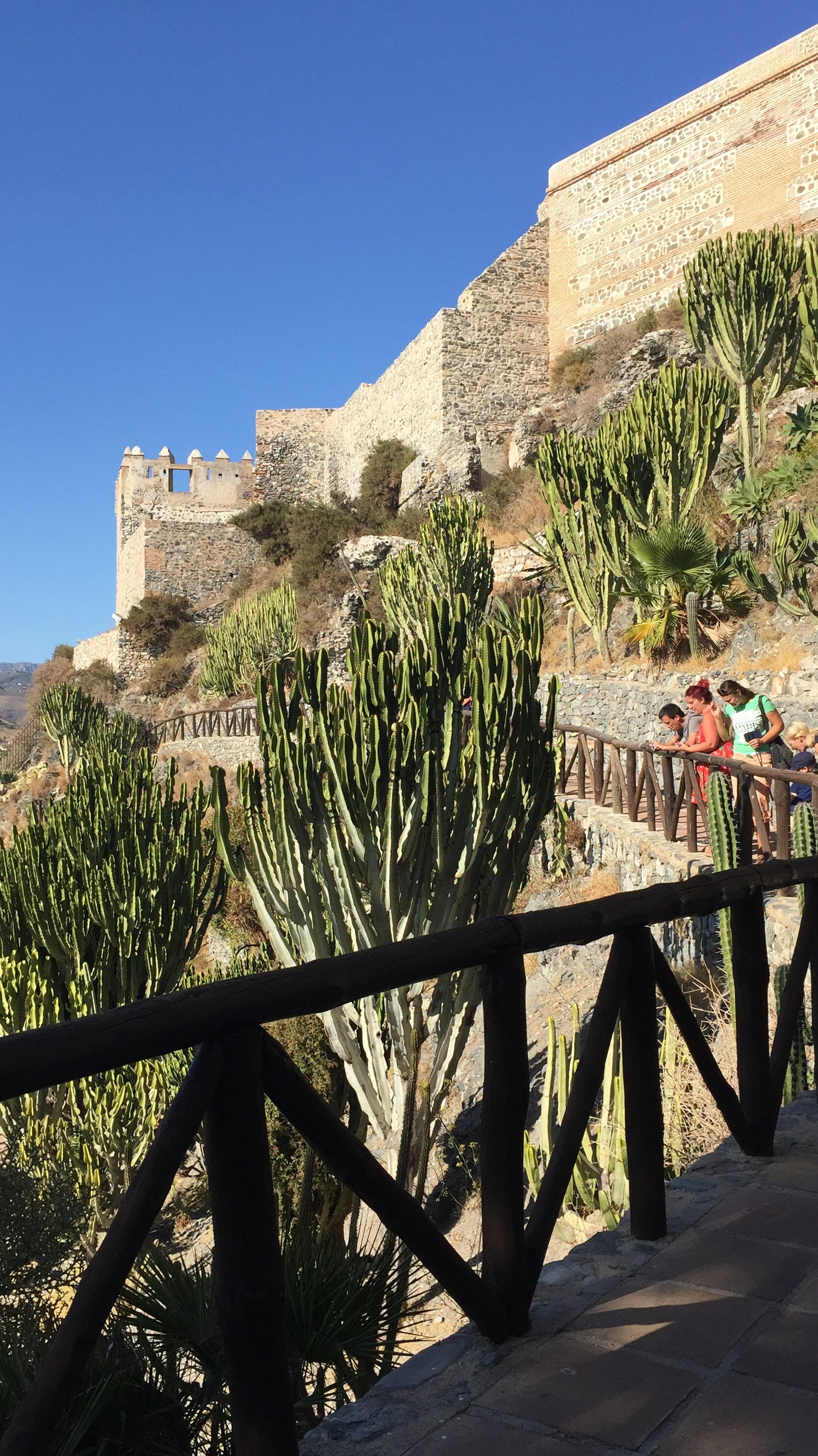 cactus garden in Almuñécar