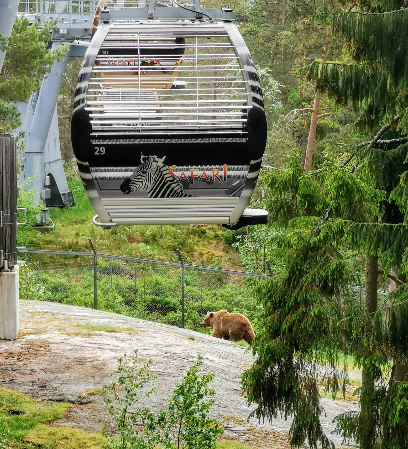 Linbanan på Kolmårdens djurpark