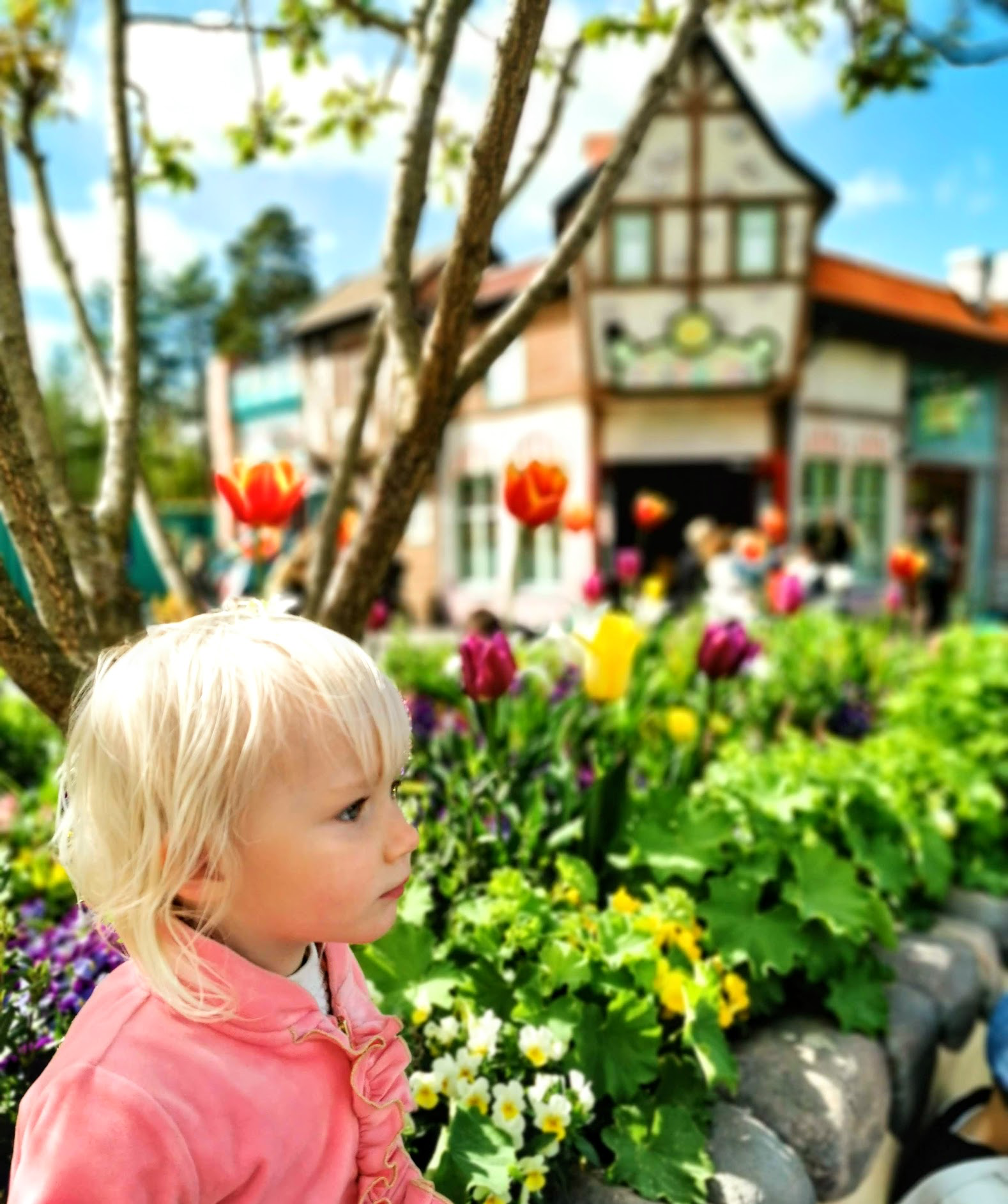 Bamses värld på Kolmårdens djurpark