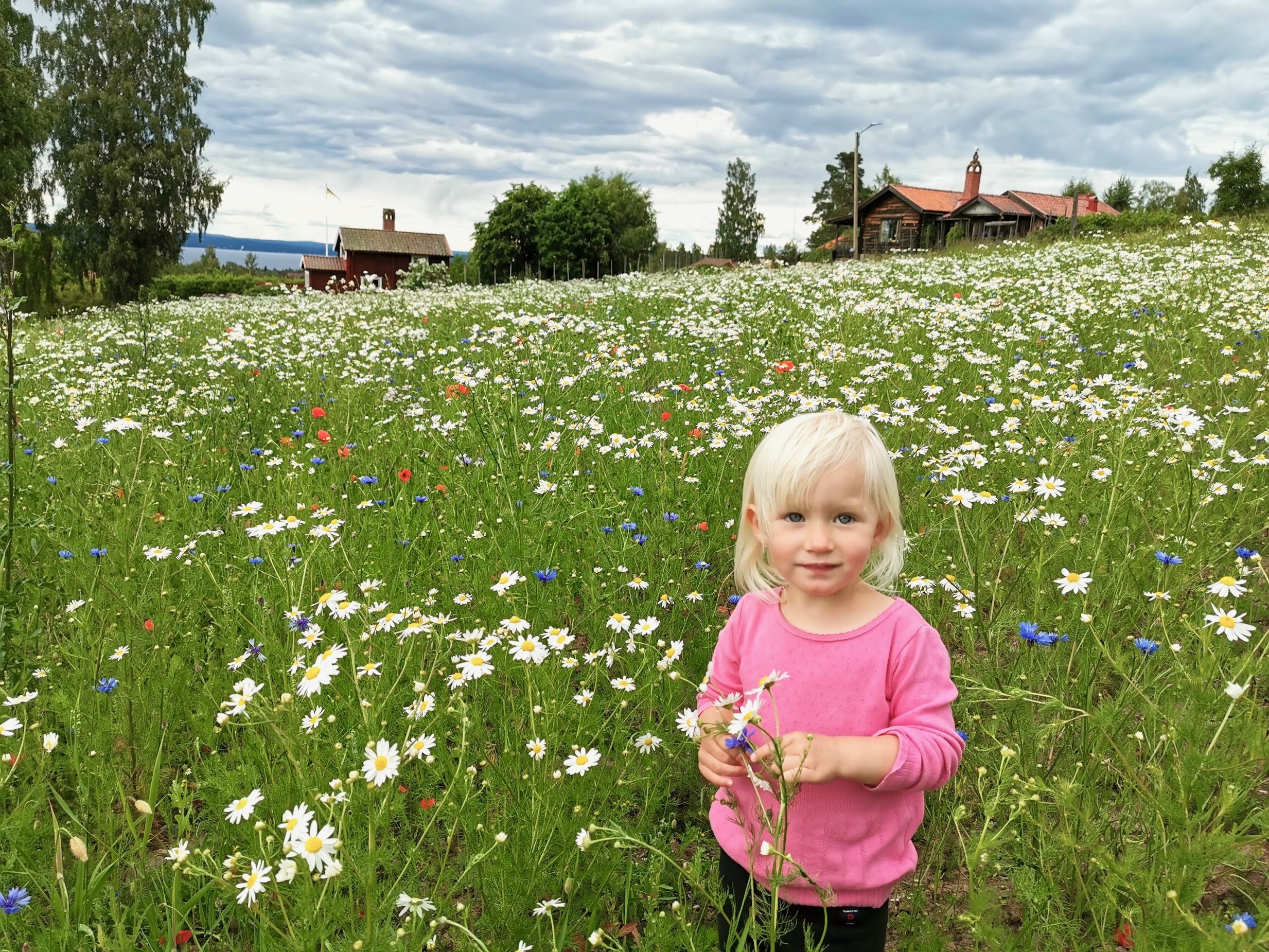 Family hotel in Sweden