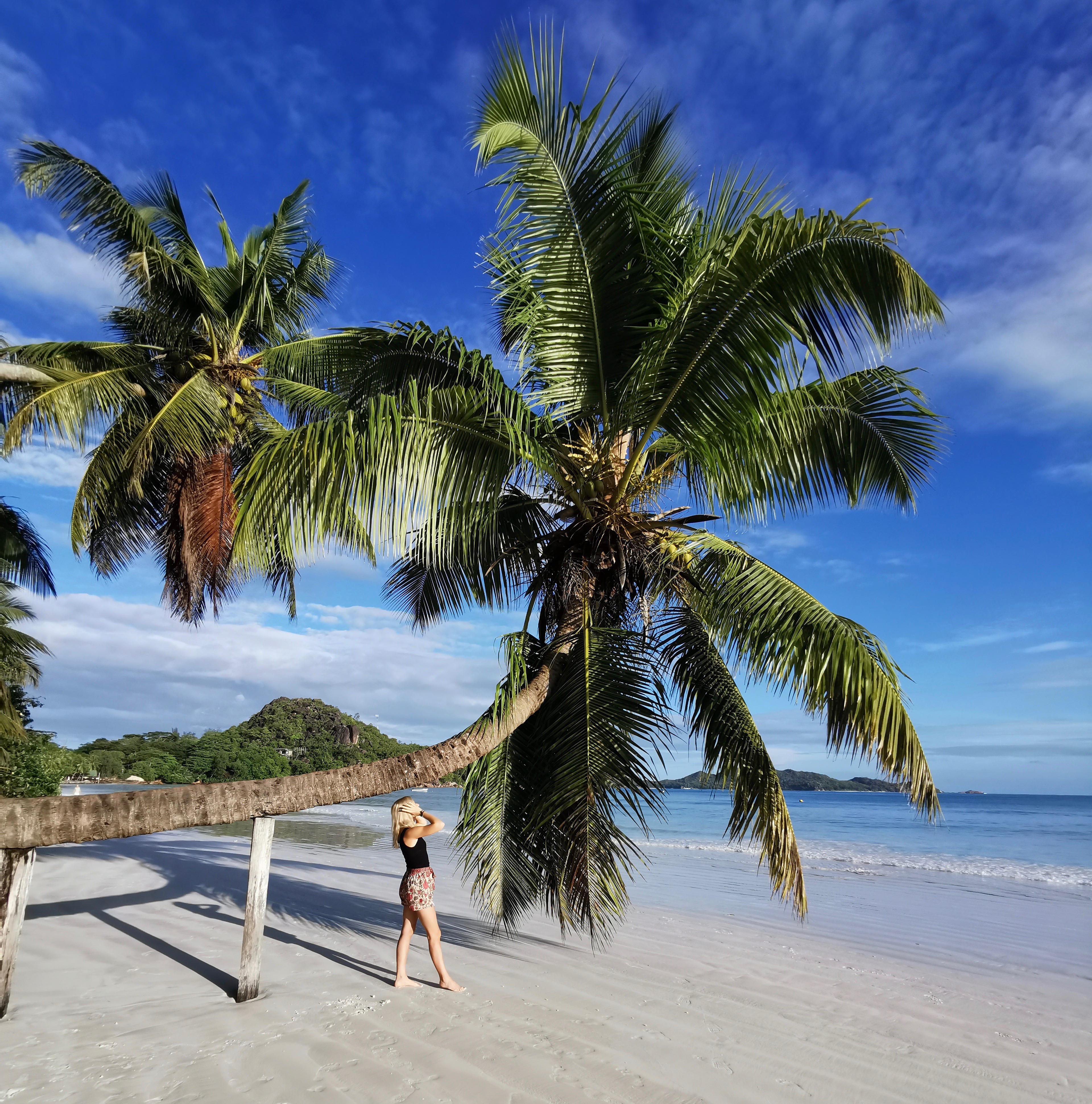 Anse Volbert Praslin Seychellerna